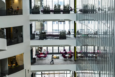 D'Amore-McKim School of Business Co-op Fund